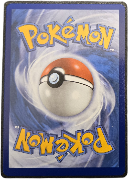 Hitmontop_back_1.png